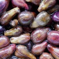 Grape seed extract (Vitis vinifera)